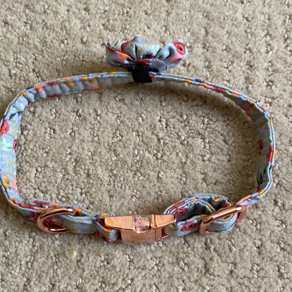 NWOT Dog Collar